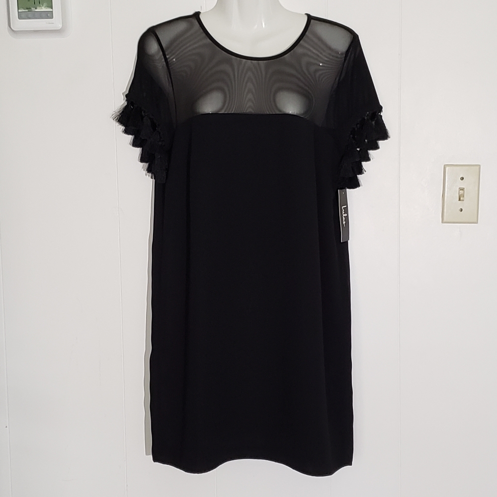 Lulus Tassel Sleeves Dress
